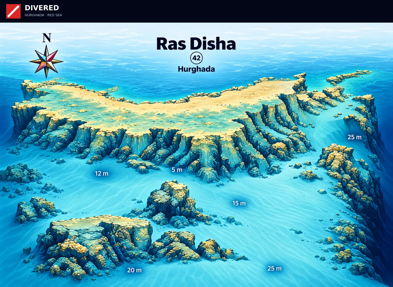 Ras Disha dive site map with depths and routes