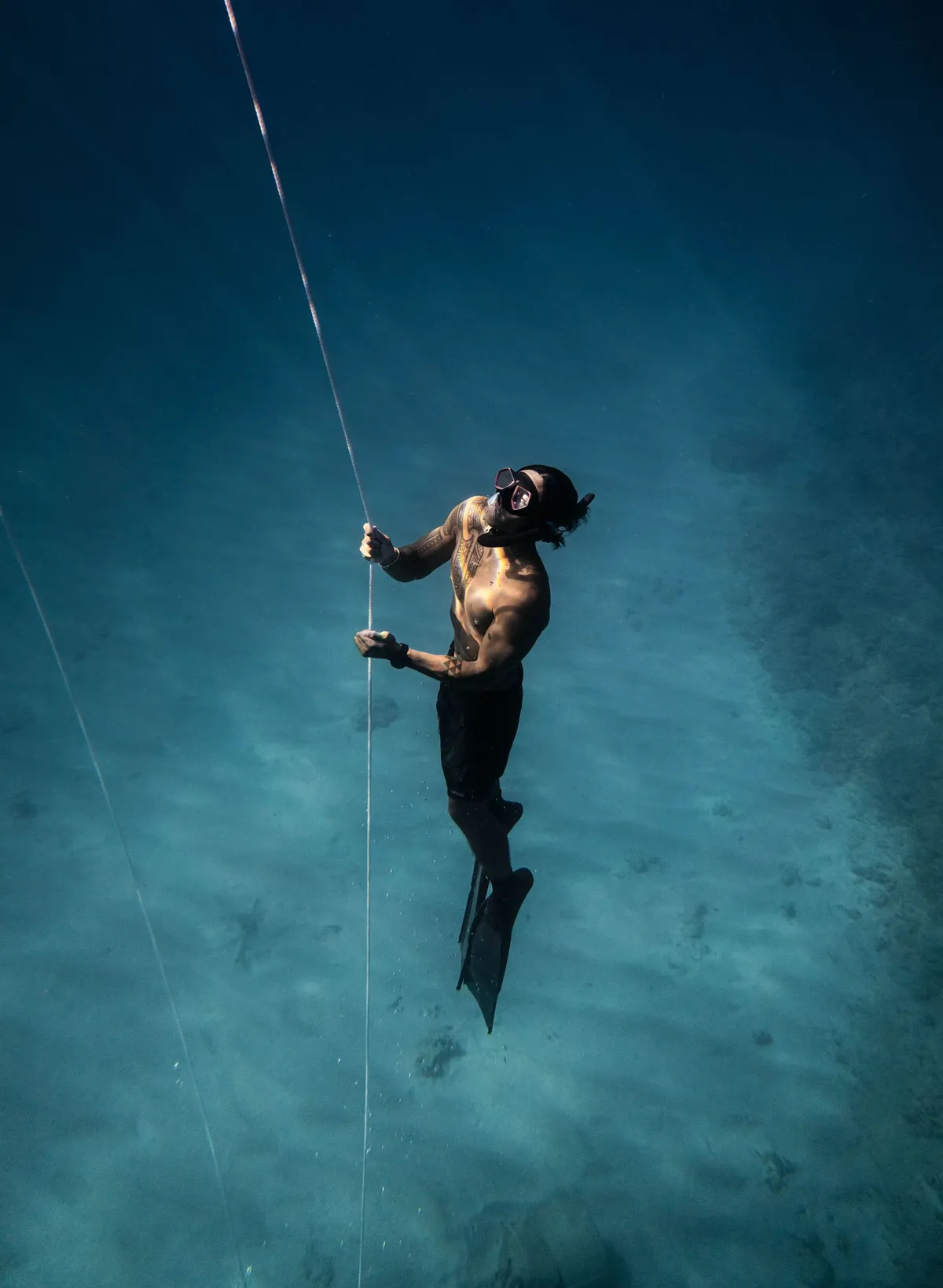 AIDA 2 — Freediver — freediving course in Hurghada, Red Sea