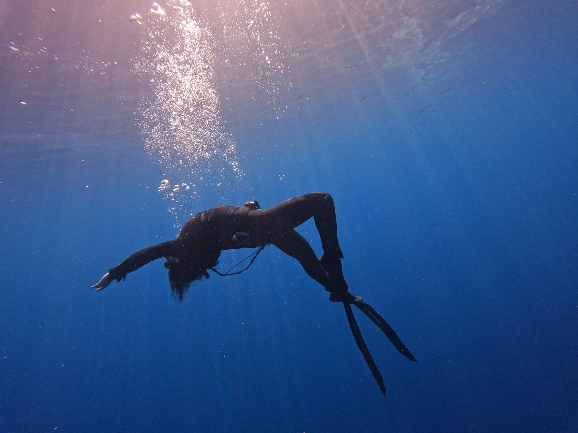 AIDA 1 — Discover Freediving 5