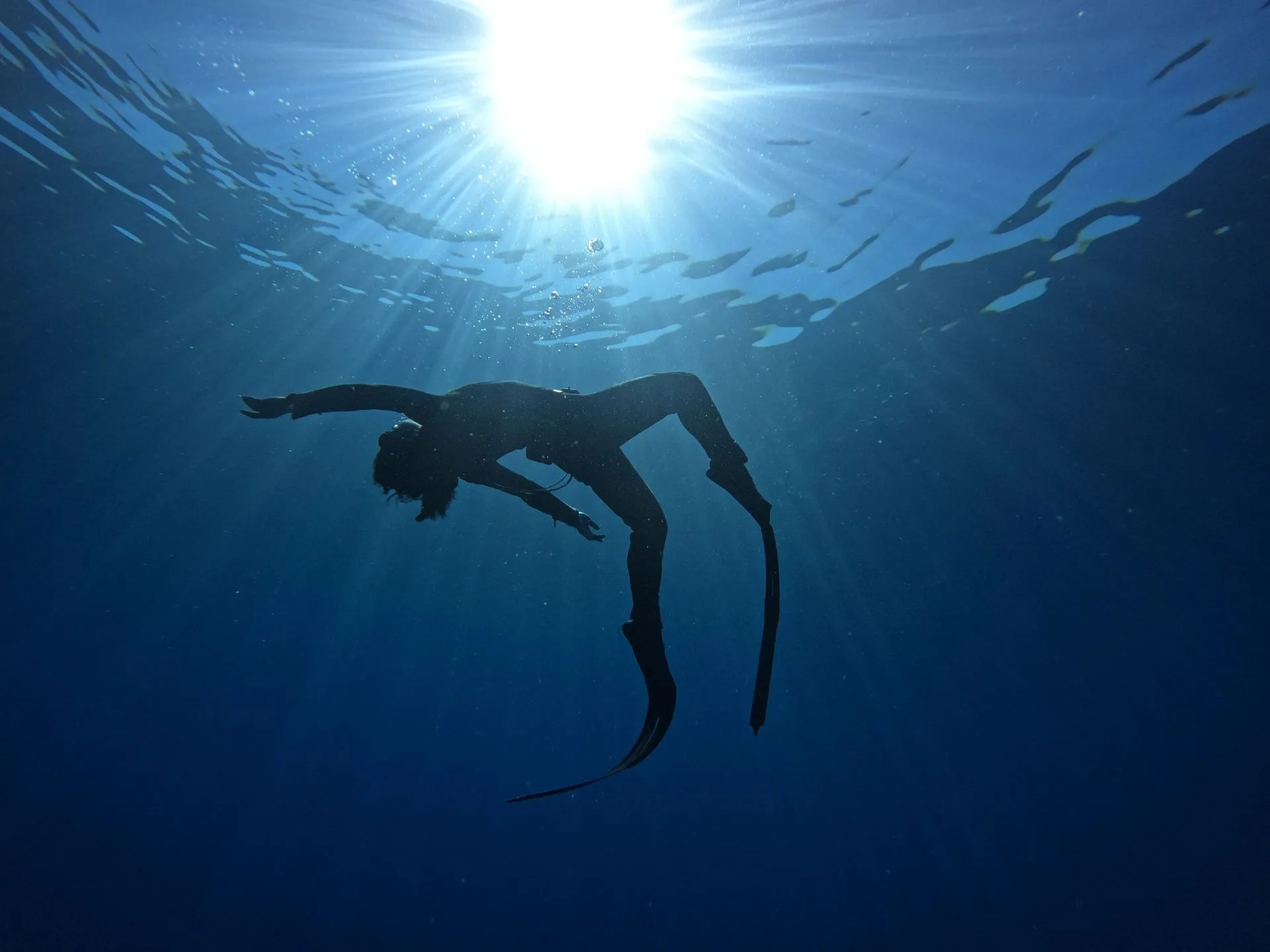 Dolphin House Freediver Trip