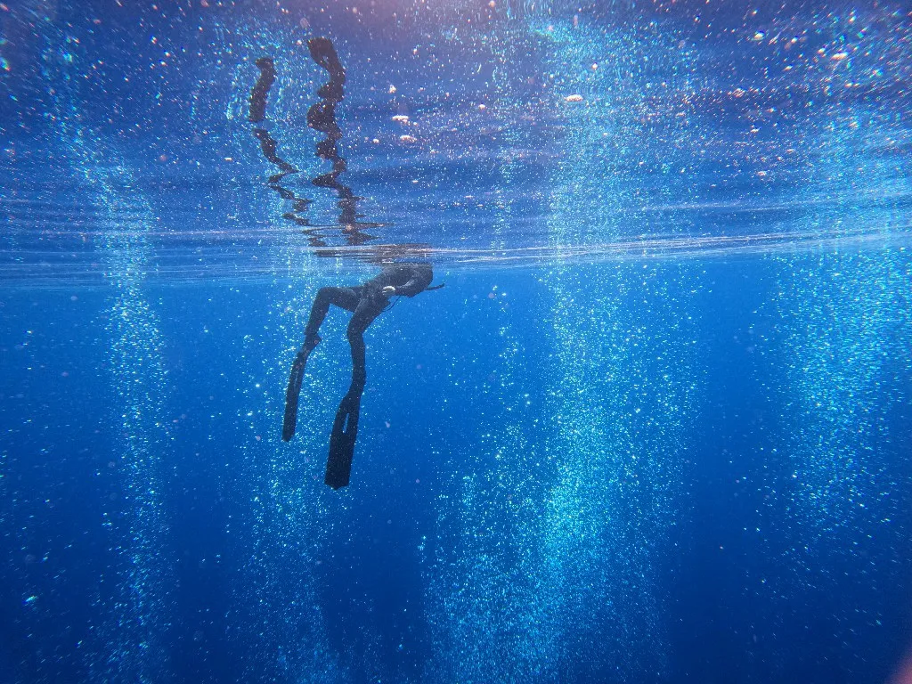Dolphin House Freediver Trip 3