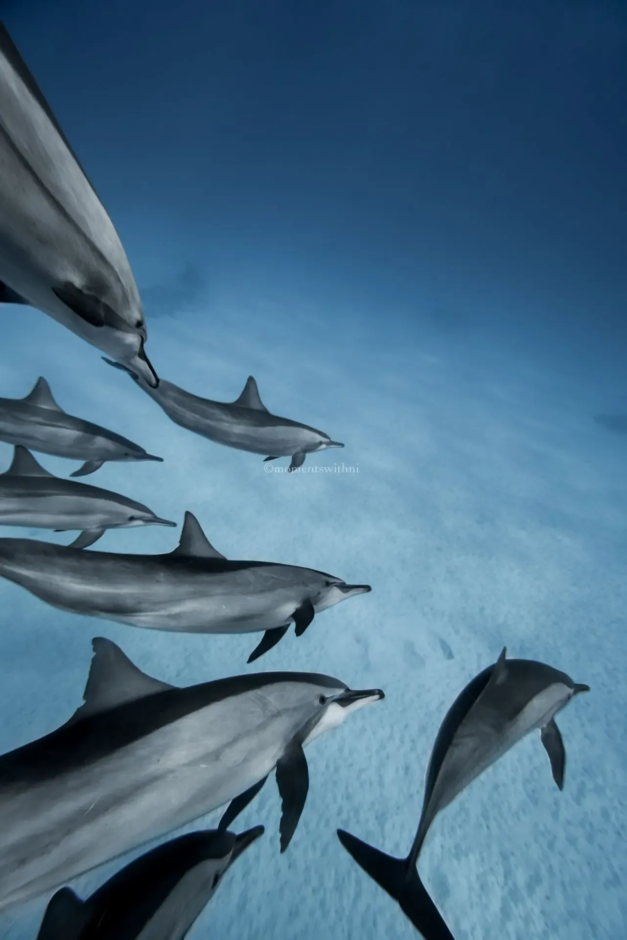 AIDA 3 — Advanced Freediver 4