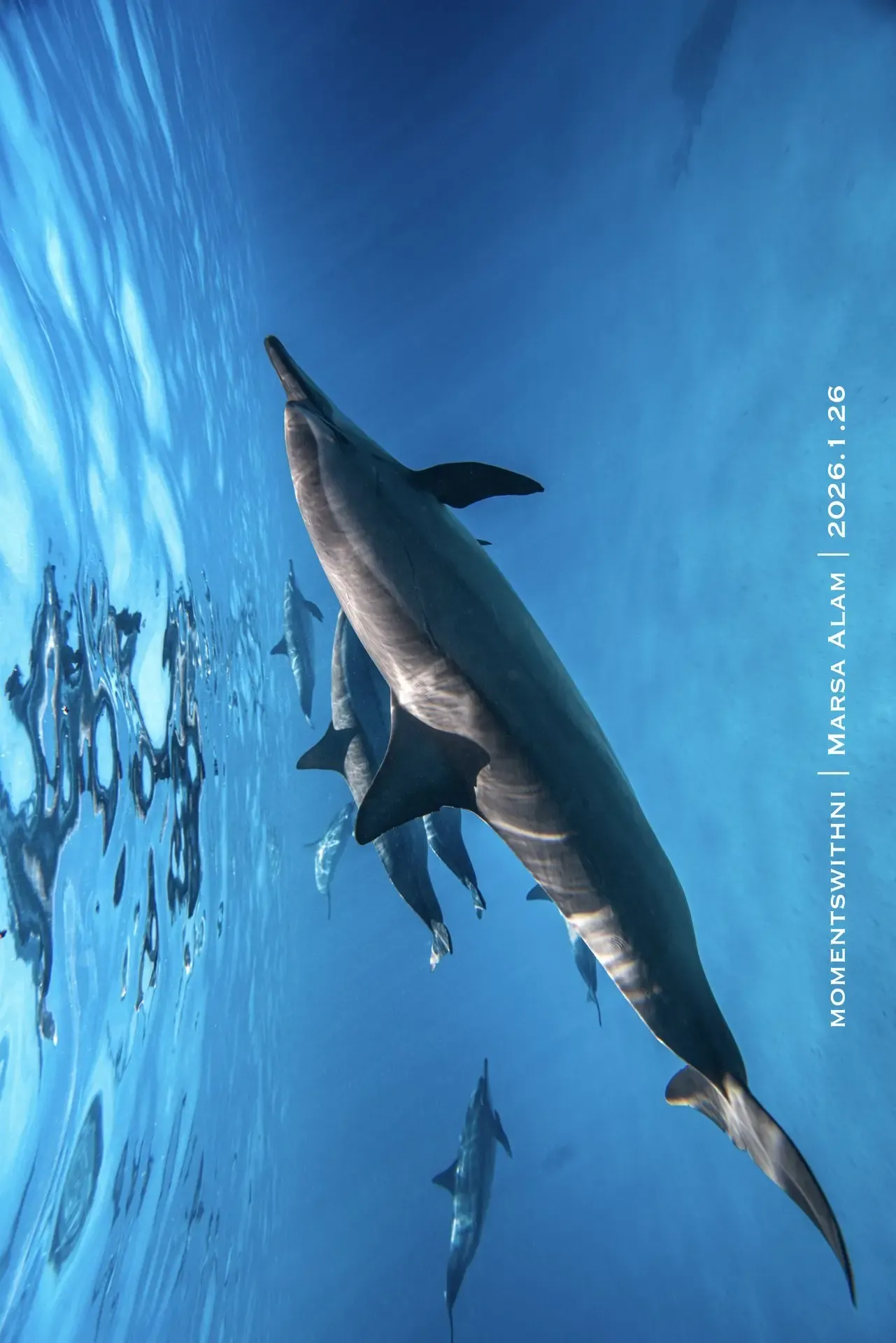 AIDA 3 — Advanced Freediver 5