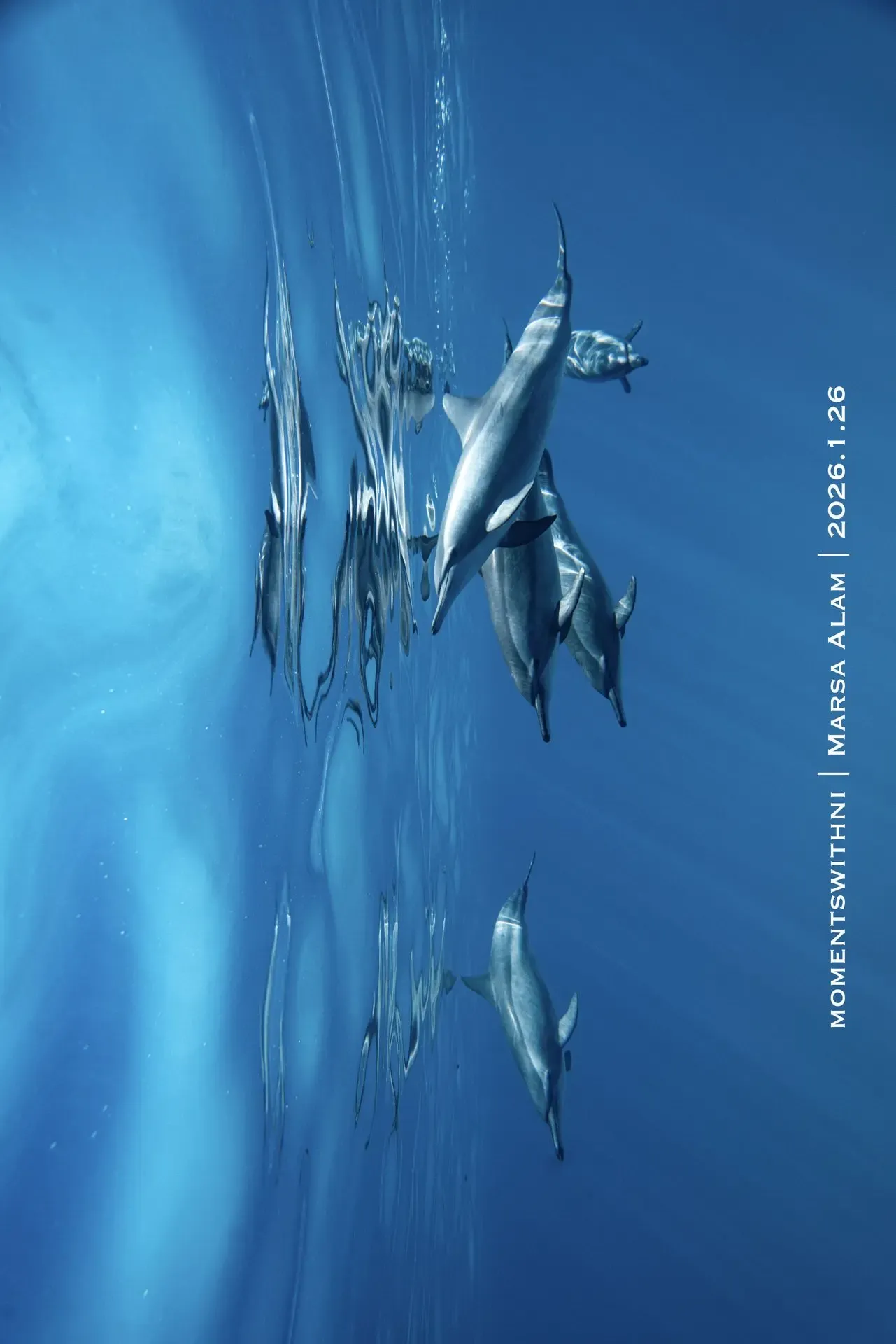 AIDA 3 — Advanced Freediver 6