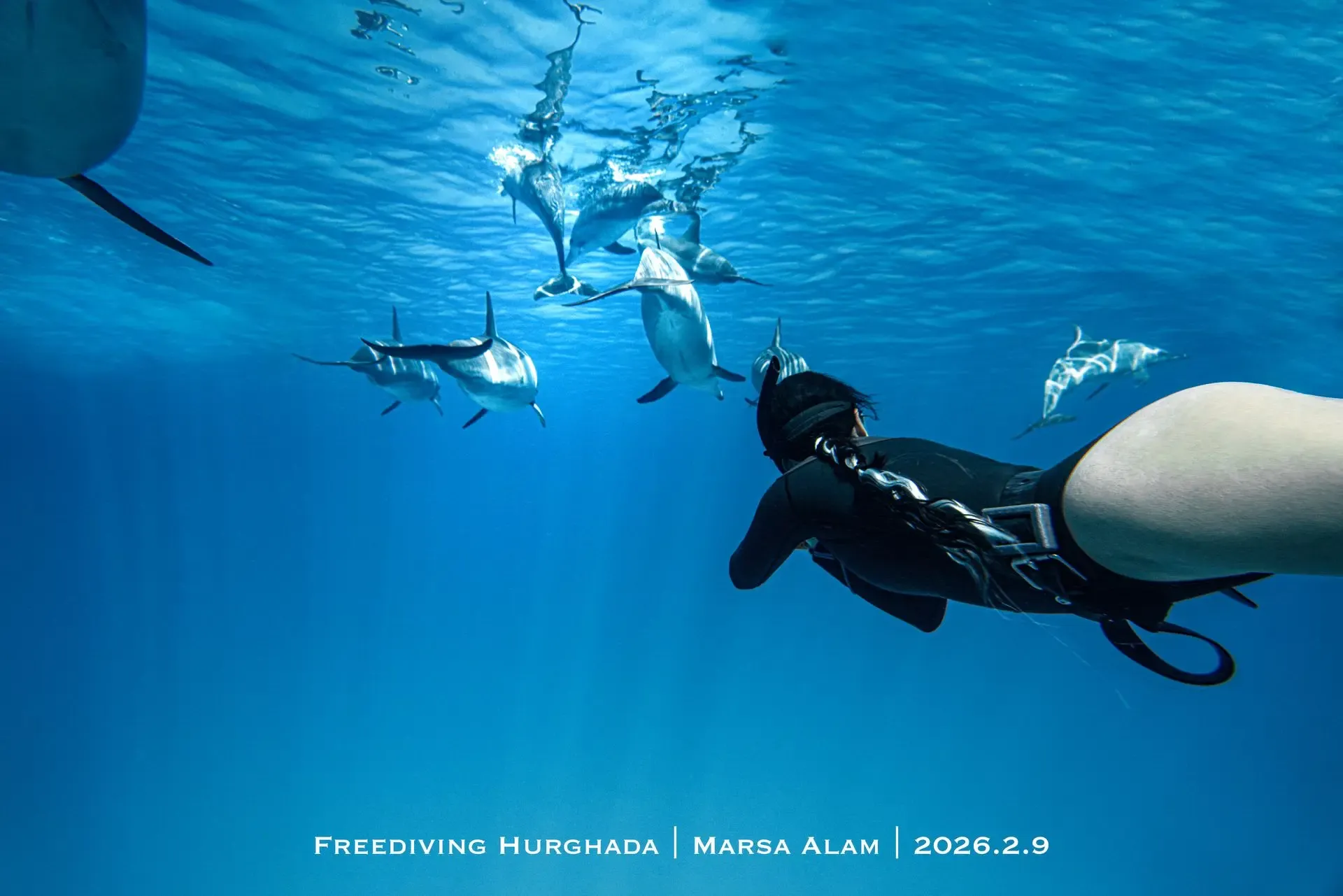 AIDA Freediving Instructor Course
