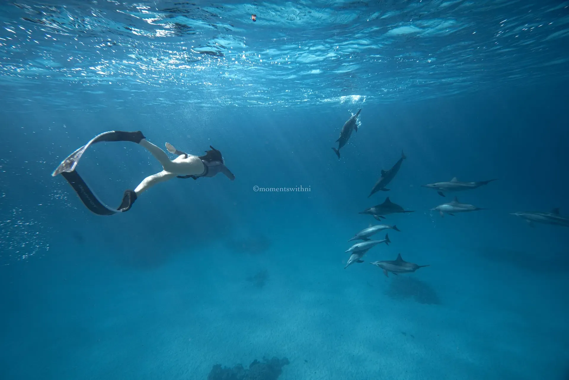 Freediving Full Day Training