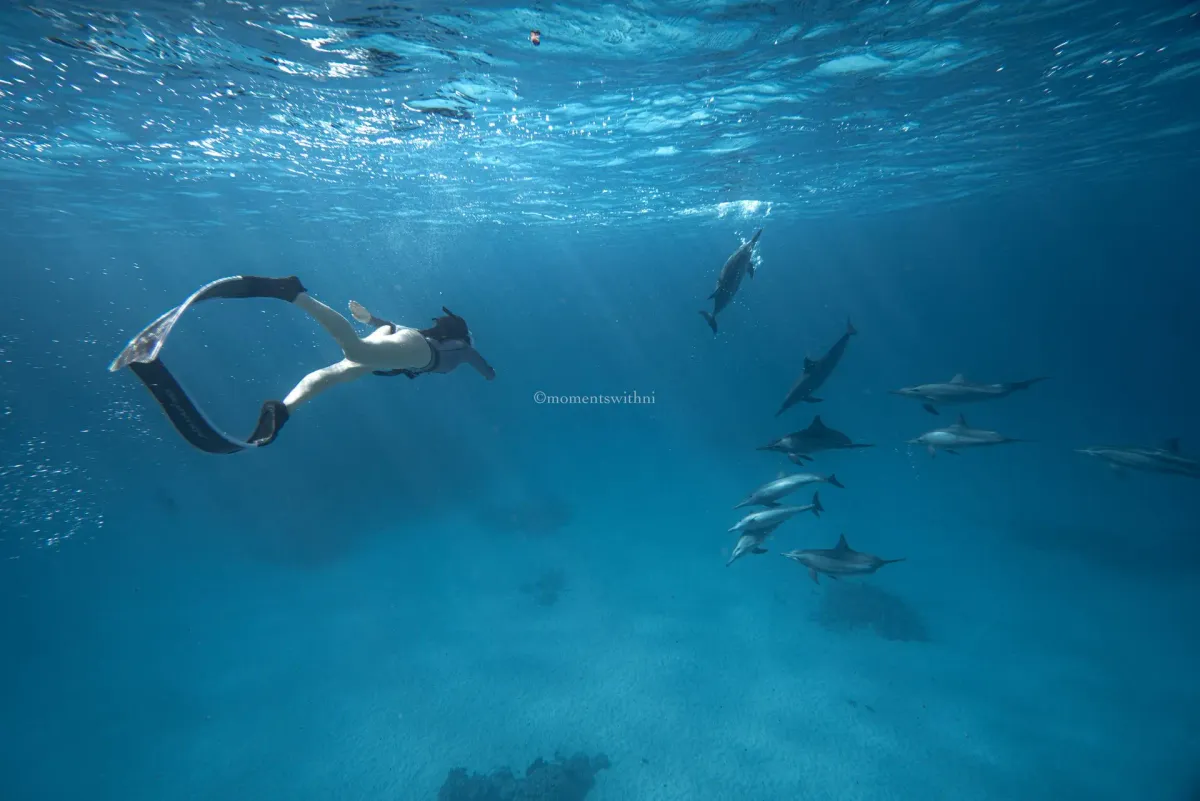 Freediving Full Day Training