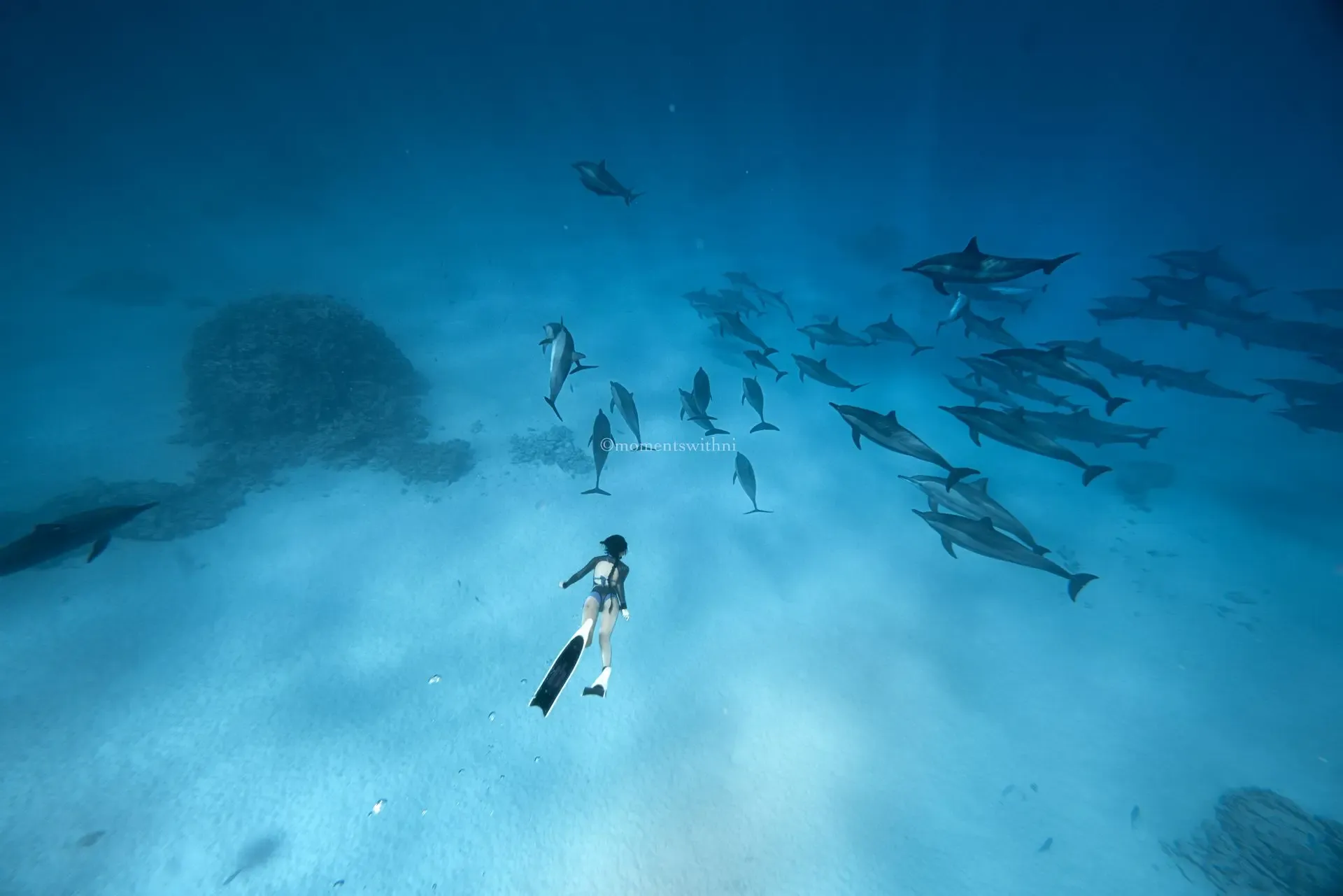 AIDA 4 — Master Freediver 4