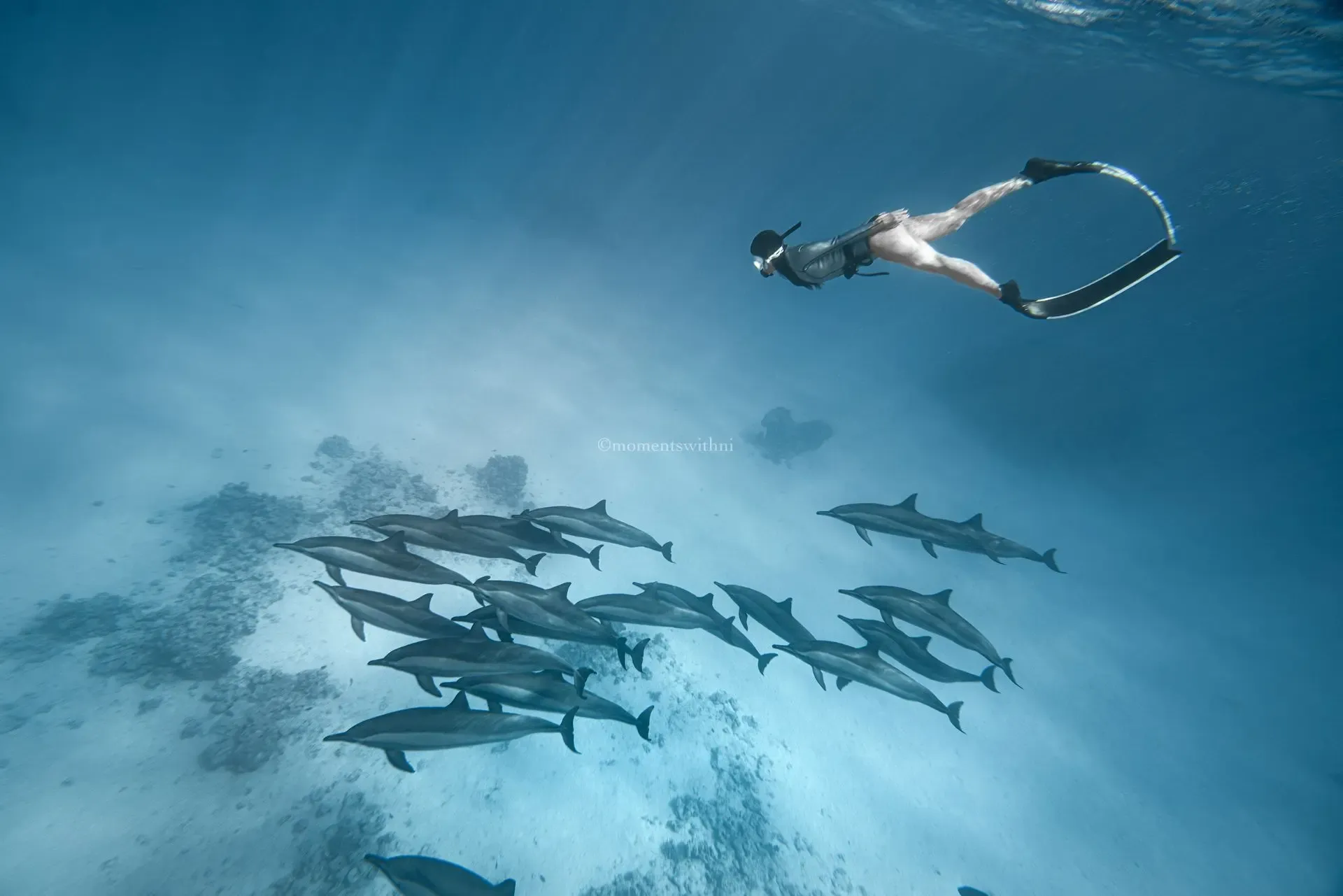 AIDA 4 — Master Freediver 5