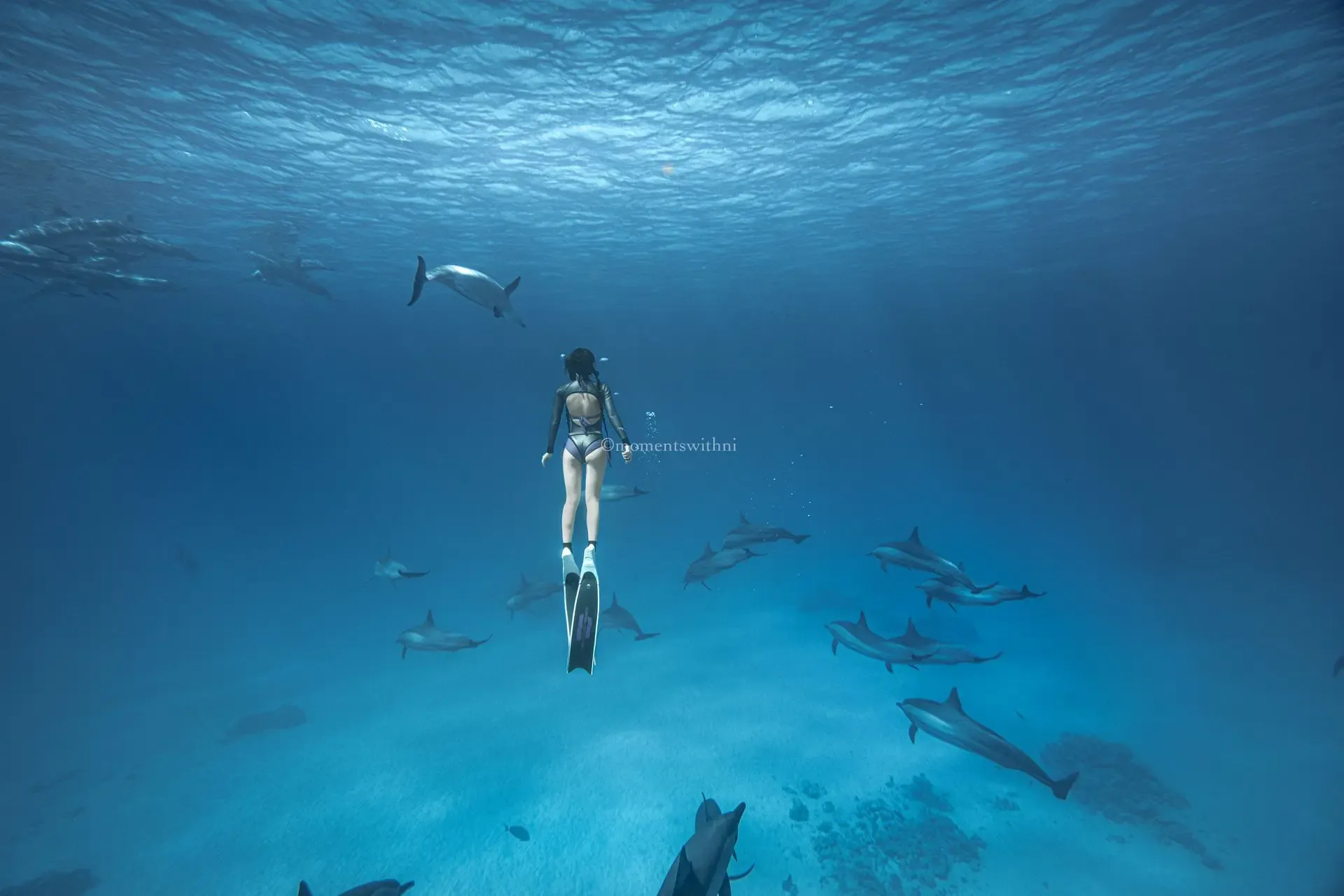 AIDA 4 — Master Freediver 6