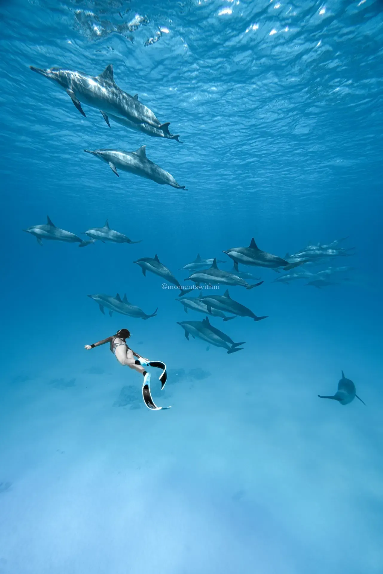 AIDA 4 — Master Freediver 7