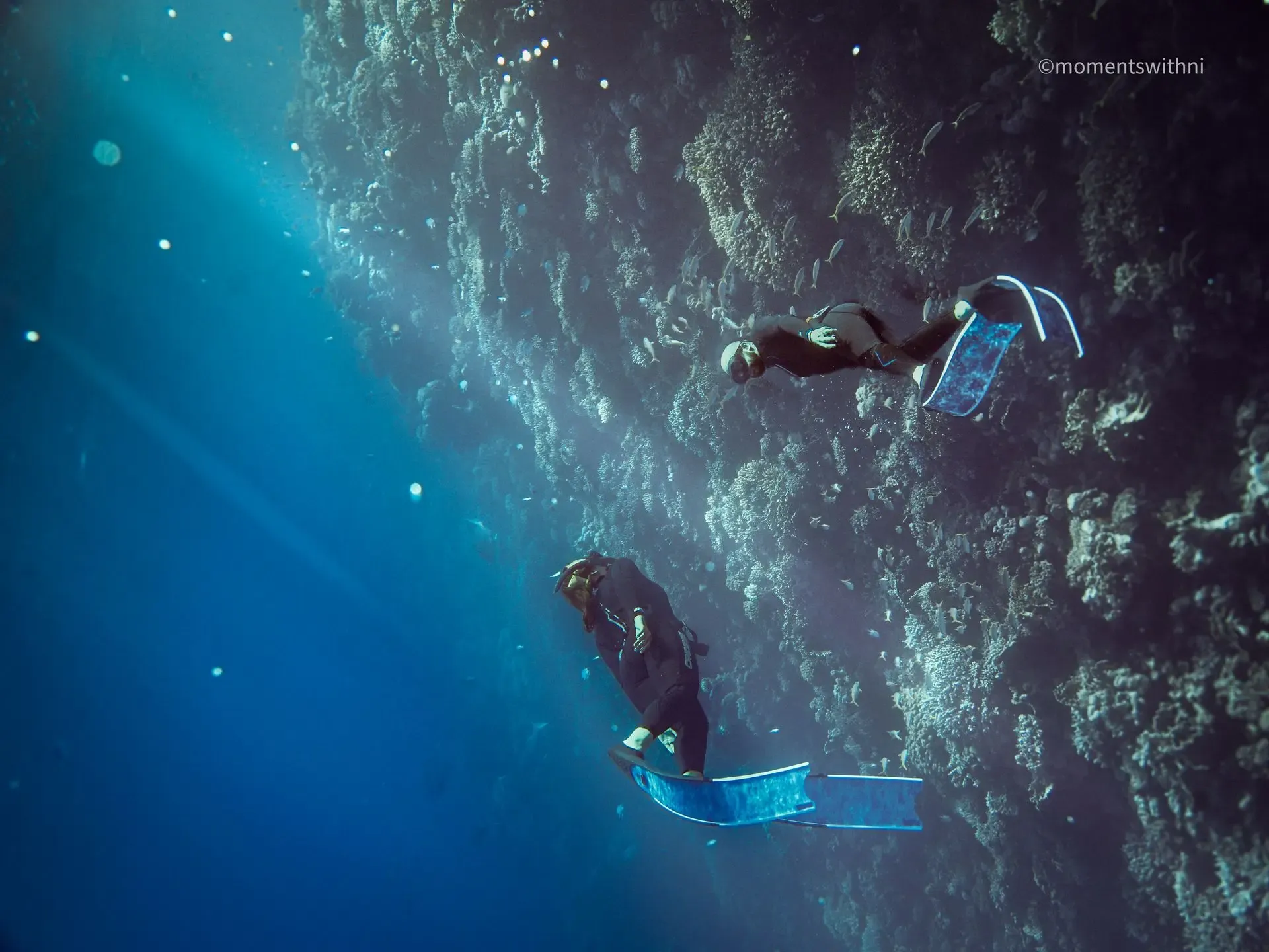 AIDA Freediving Instructor Course 4