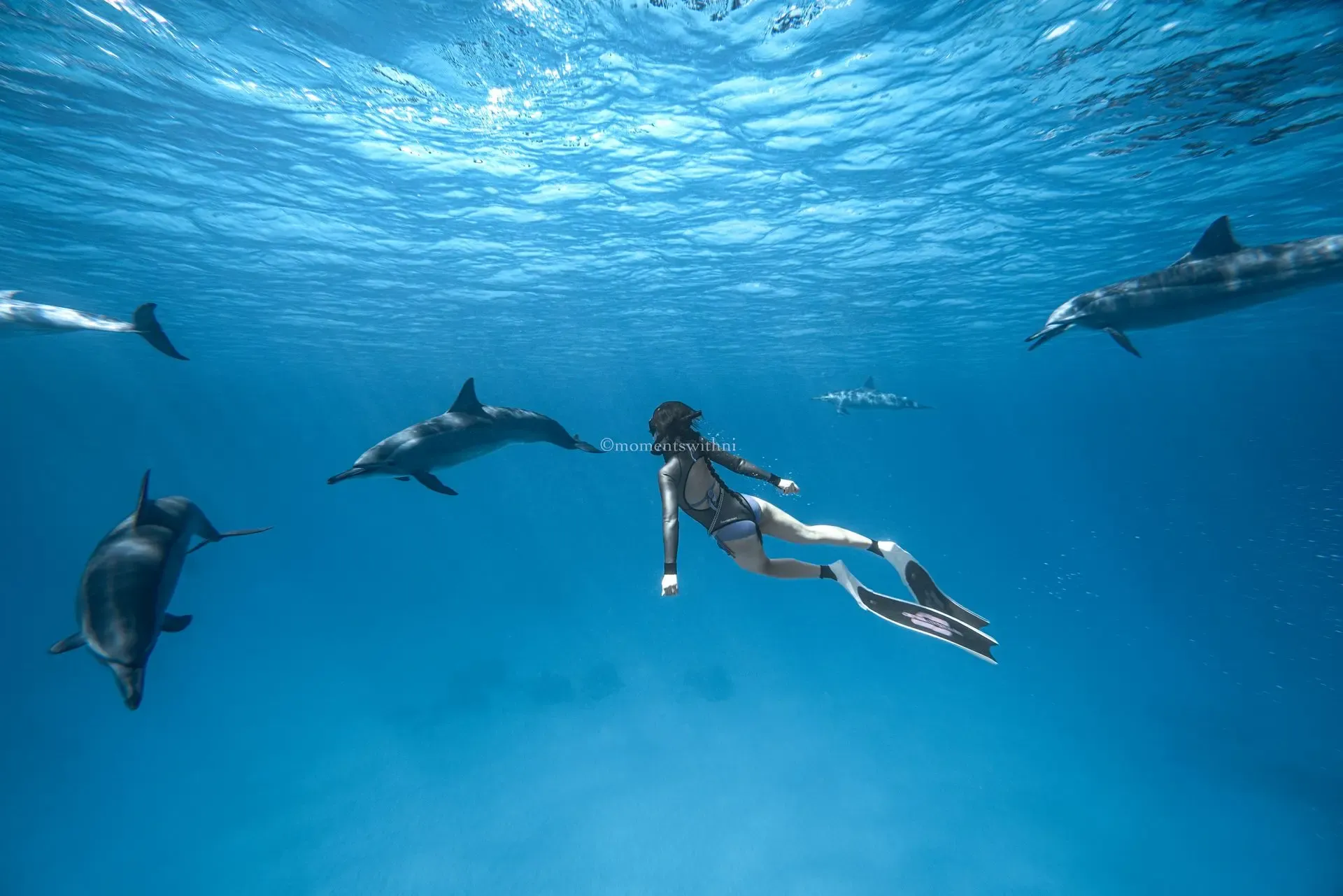 Freediving Full Day Training 3