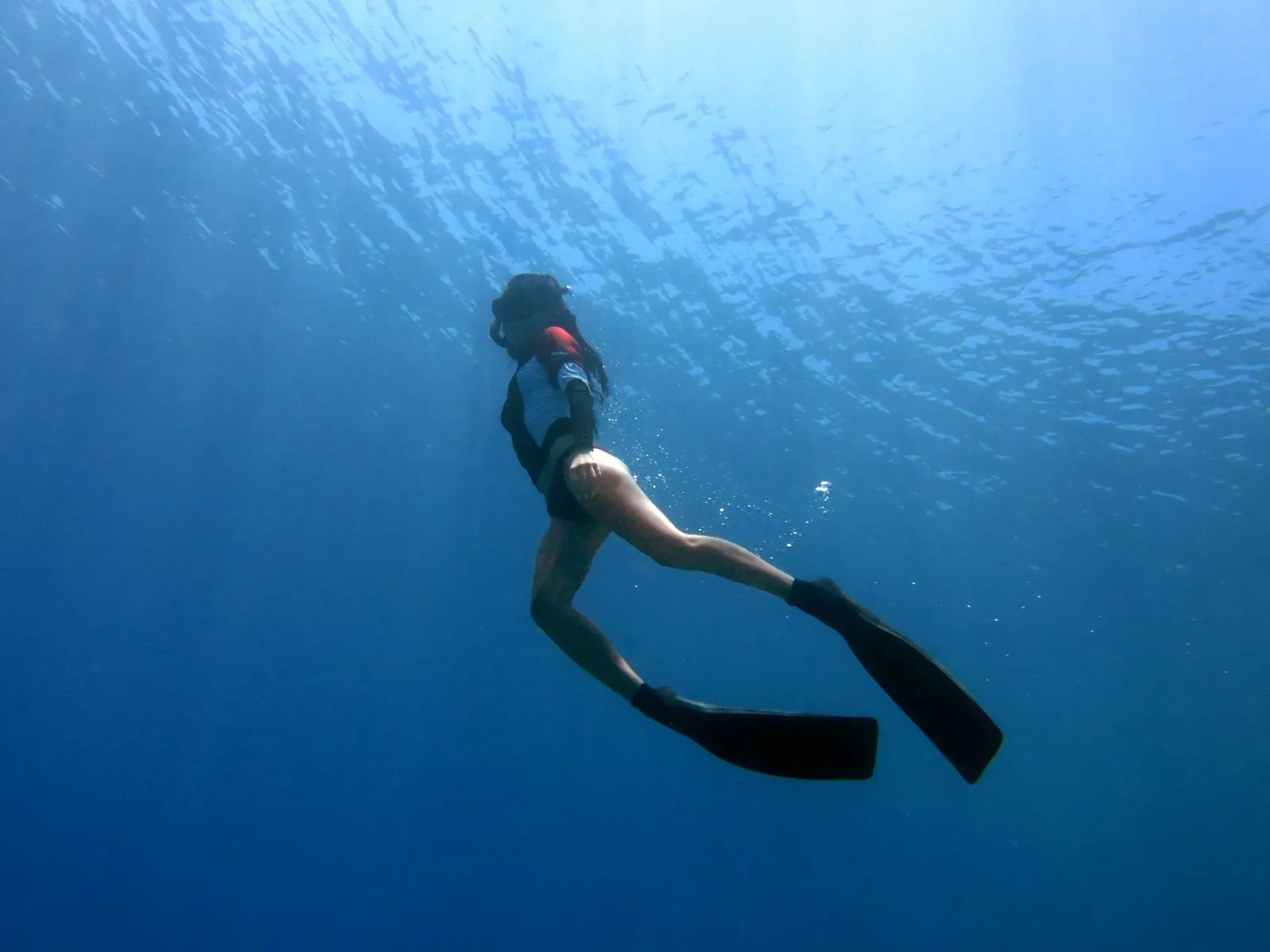 Freediver descending into the blue Red Sea