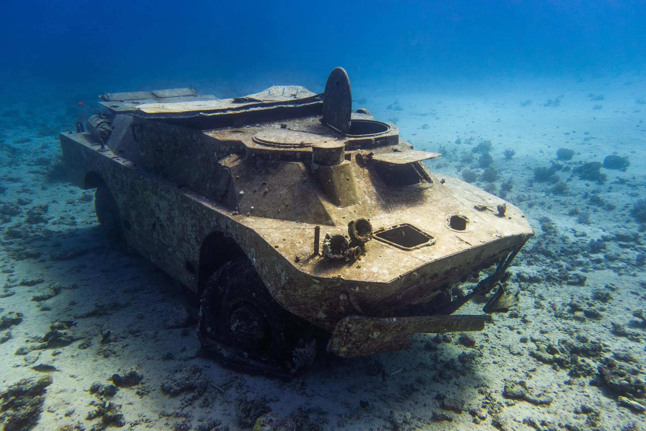 Professional diving regulator and computer