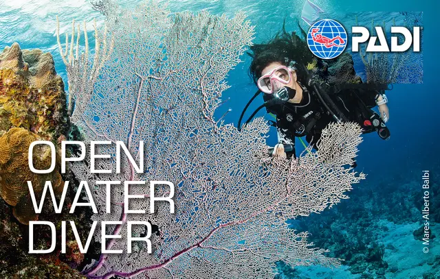 PADI open water course