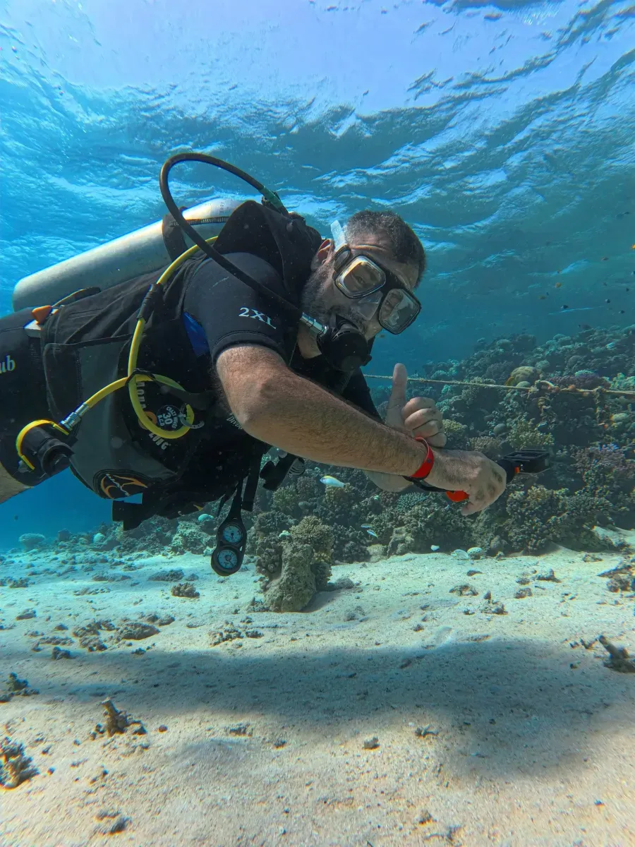 Red Sea reef 8
