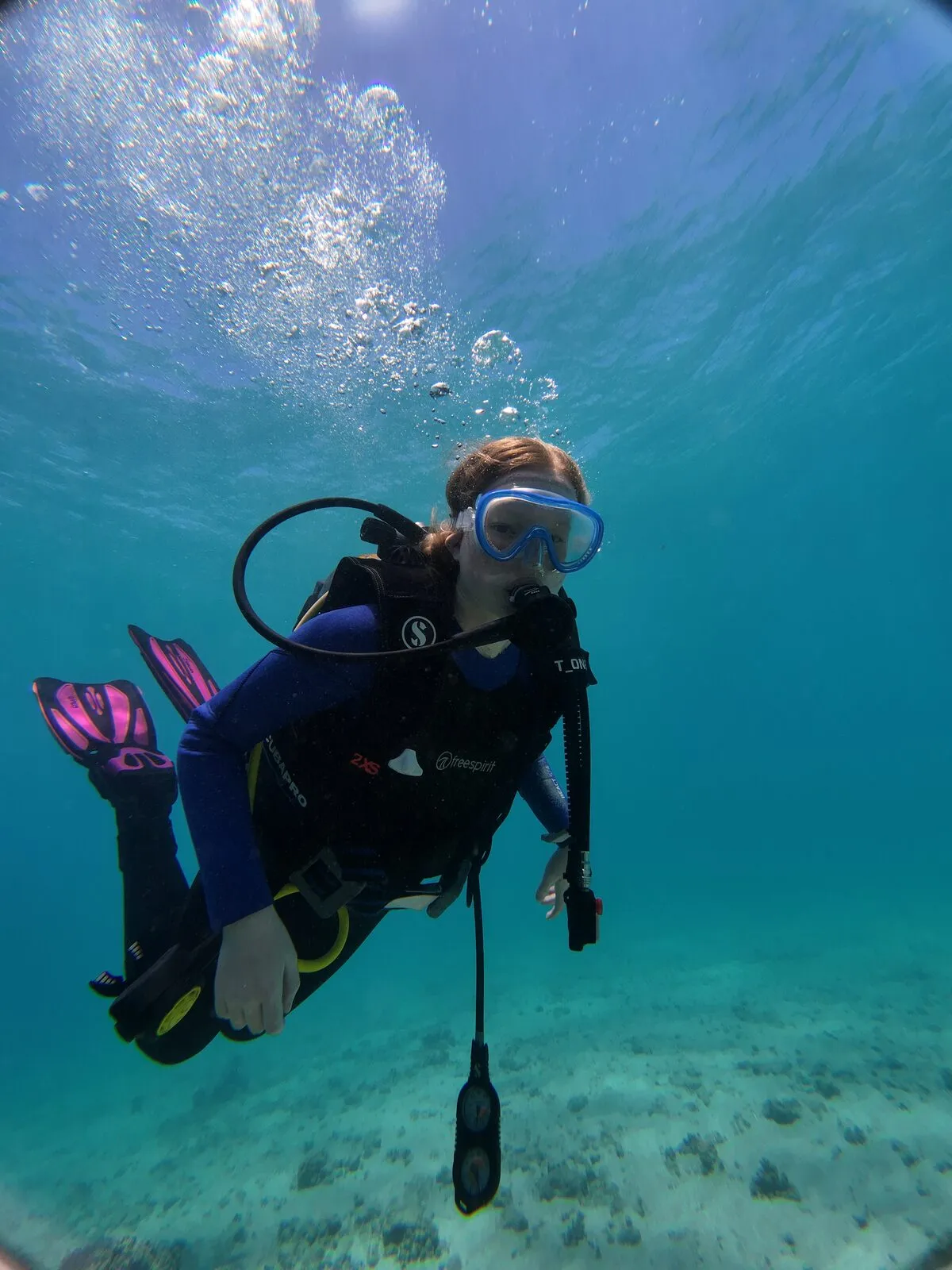 Red Sea reef 15