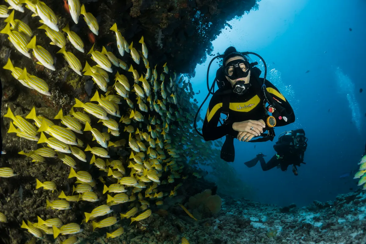 Divemaster