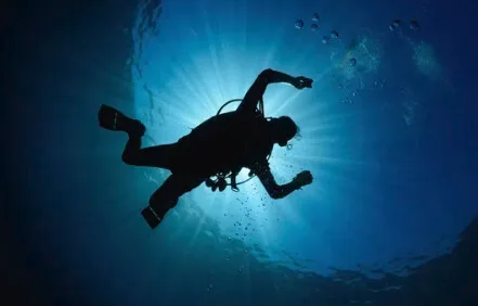 Tec Fun Dive Day
